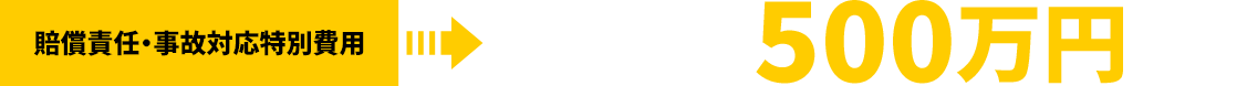 合わせて500万円の補償